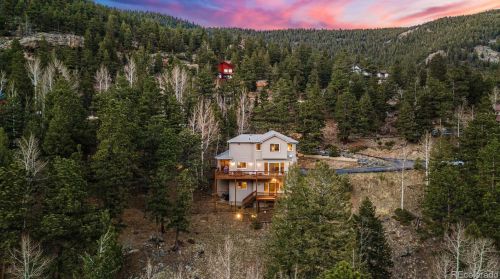 54 Spruce Ct, Denver, CO 80439-4517