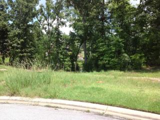 76 Halma Ct, Irmo, SC 29063-9580