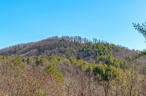 1043 Knollwood Rd, Mineral Bluff, GA 30559-3013