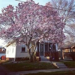 107 Maywood Ave, Peoria IL  61603-2022 exterior