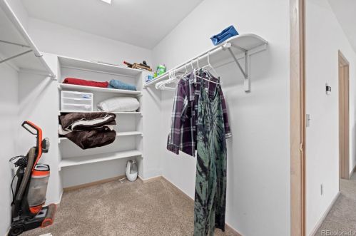 21 Saw Whiskers Cir, Montezuma CO  80435-7903 exterior