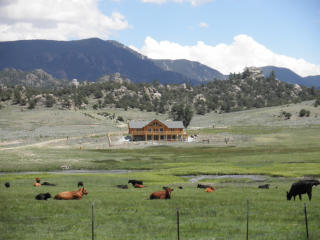 19905 Nachtrieb Ranches Rd, Mount Princeton, CO 81236-8783