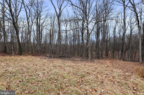 590 Wilson Ln, High View WV  26808 exterior