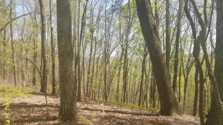 1572 Cash Canyon Rd, Chattanooga, TN 37419-1125