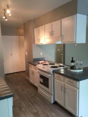 805 Kane Dr, Damascus OR  97030 exterior