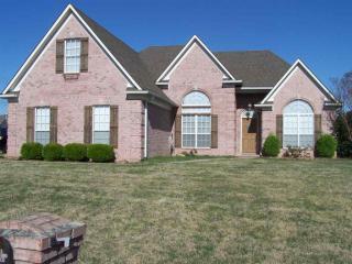 133 Dogwood Trce, Crosstown, TN 38004-7787