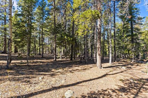 10684 Beas Dr, Conifer, CO 80433-8808