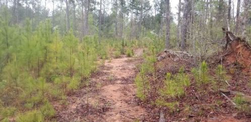 6045 Rockmills Rd, Franklin, GA 30217-7155