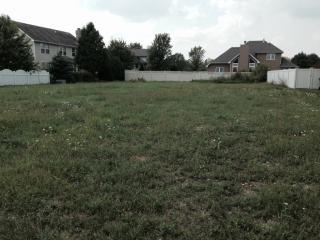 1612 Periwinkle Dr, Morris, IL 60450-6841