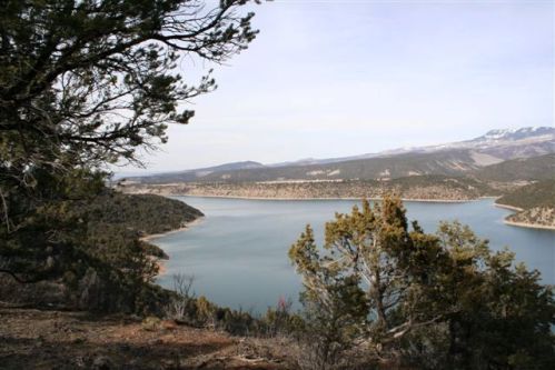 587 Waterview Ln, Ridgway CO  81432-9349 exterior