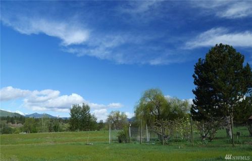 661 Twisp Winthrop Eastside Rd, Winthrop, WA 98862-9700