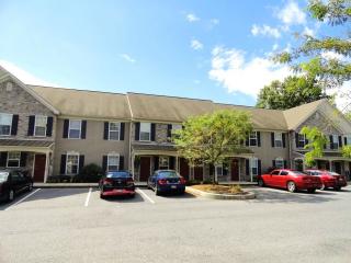 1306 Hammon Ave, Ephrata PA  17522-2917 exterior