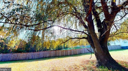 3332 Mountain Rd, Wardensville WV 26851-8279 exterior