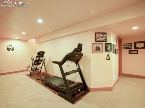 331 Panther Ct, Woodland Park CO exterior