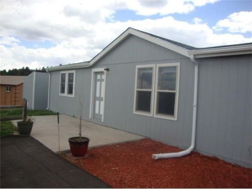 150 Will Scarlet Dr, Divide, CO 80814-9448