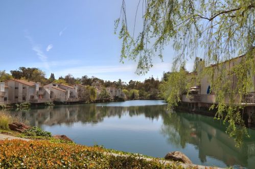 127 Callecita, Los Gatos, CA 95032-1145