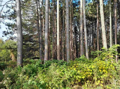 3789 Alexander Rd, Duluth, MN 55811-4301