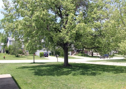 20029 Thorndale Dr, Frankfort, IL 60423-8391