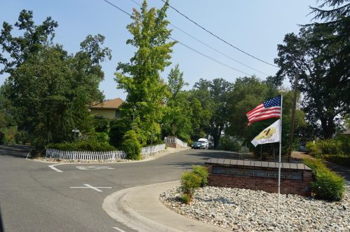 1295 Village Ln, Swansboro Country, CA 95667-4719