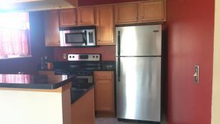 1506 Stoney Run Trl, Cleveland OH  44147-2561 exterior