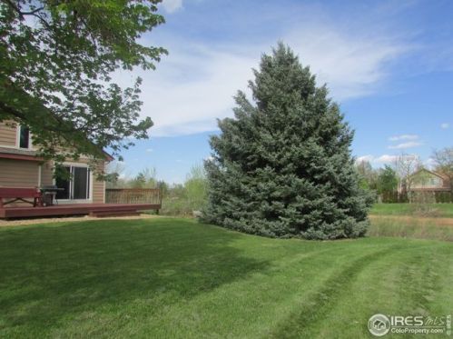 501 Bentley Pl, Fort Collins CO  80526-3966 exterior