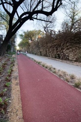 4303 Buena Vista St, Dallas TX  75205-4843 exterior