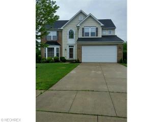 1460 Greenfield Ln, Concord Township, OH 44077-6115