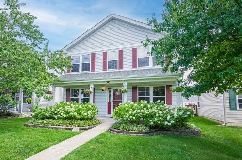 360 Ogden Falls Blvd, Oswego, IL 60543-7913