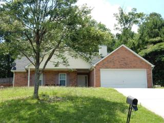 11037 Knotty Pine Pl, Hampton, GA 30228-3293