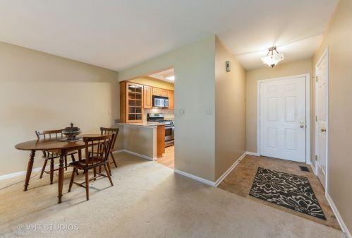 372 Covington Ter, Buffalo Grove, IL 60089-9107