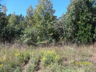 72 Dowdells View Dr, Shiloh, GA 31826-2645