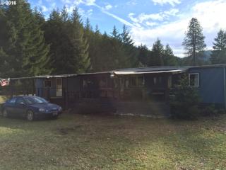 224 Whitehorse Creek Rd, Azalea, OR 97410-9726