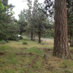 2231 7th St, Bend, OR 97701-1115