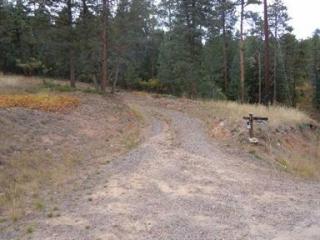 7775 Firehouse Hill Rd, Morrison, CO 80465-2411
