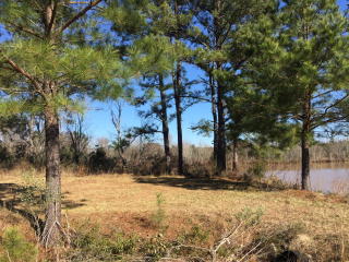 55 Will Dr, Chula, GA 31733-4247