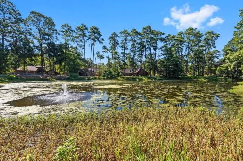 111 Butlers Ct, Conroe TX  77385-7906 exterior