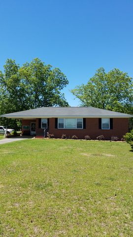 41 Red Devil Dr, Klondike, GA 31036-6922