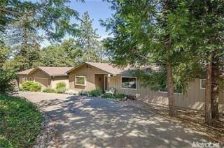 770 Big Oak Rd, Swansboro Country, CA 95667-7103