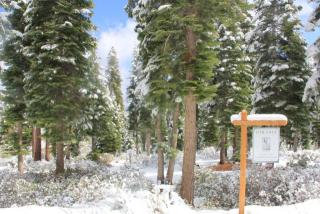 2308 Overlook Pl, Truckee, CA 96161-4216