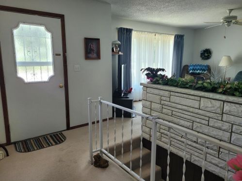 4 Hamlin Heights Dr, Withers Mill, MO 63401-1903