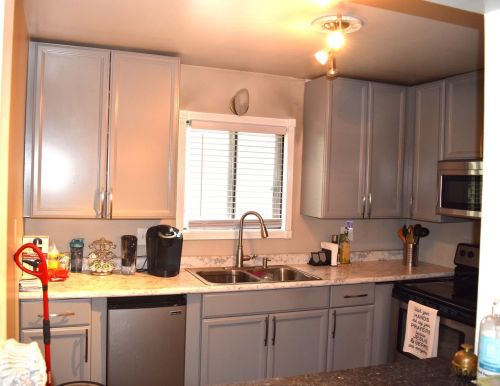 524 Spruce Dr, Palatine, IL 60074-2322