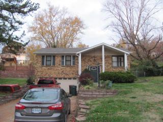 29 Elderwood Ct, Fenton, MO 63026-3102