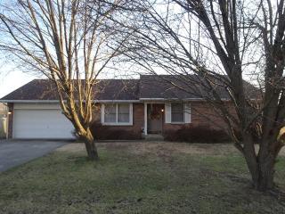 1611 Dain Dr, Brownsville, IL 62821-2218