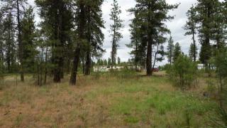 3308 Anderson Rd, Amber, WA 99004-9516