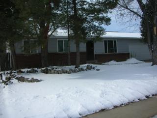16308 Brunswick Pl, Denver, CO 80013-1847