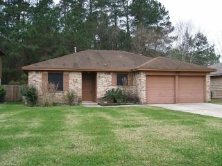 12 Green Bough Ct, Spring TX  77380-2725 exterior