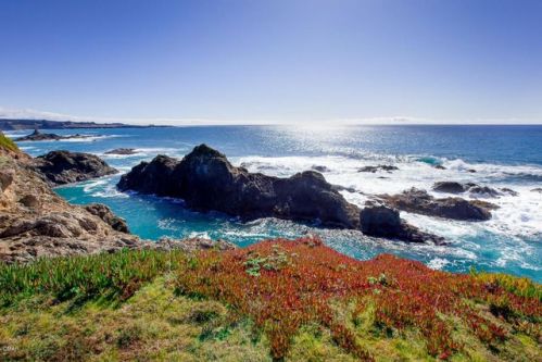 45640 Cypress Dr, Mendocino, CA