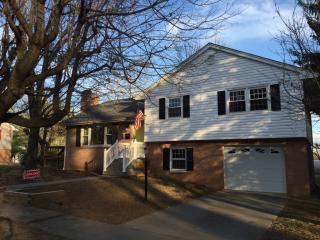 1718 Lewis St, Winchester, VA 22601-3121