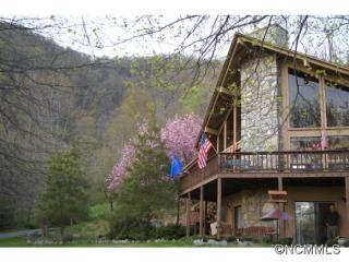 1294 Buckeye Cove Rd, Canton, NC 28716-3066