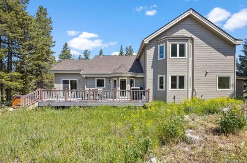 21 Saw Whiskers Cir, Montezuma CO  80435-7903 exterior